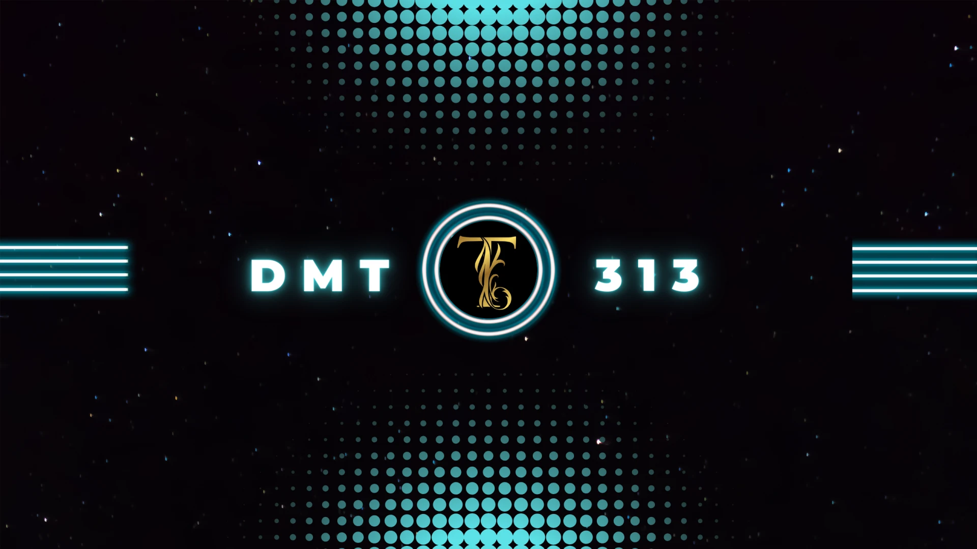Profile of DMT 313 - ModLand.net