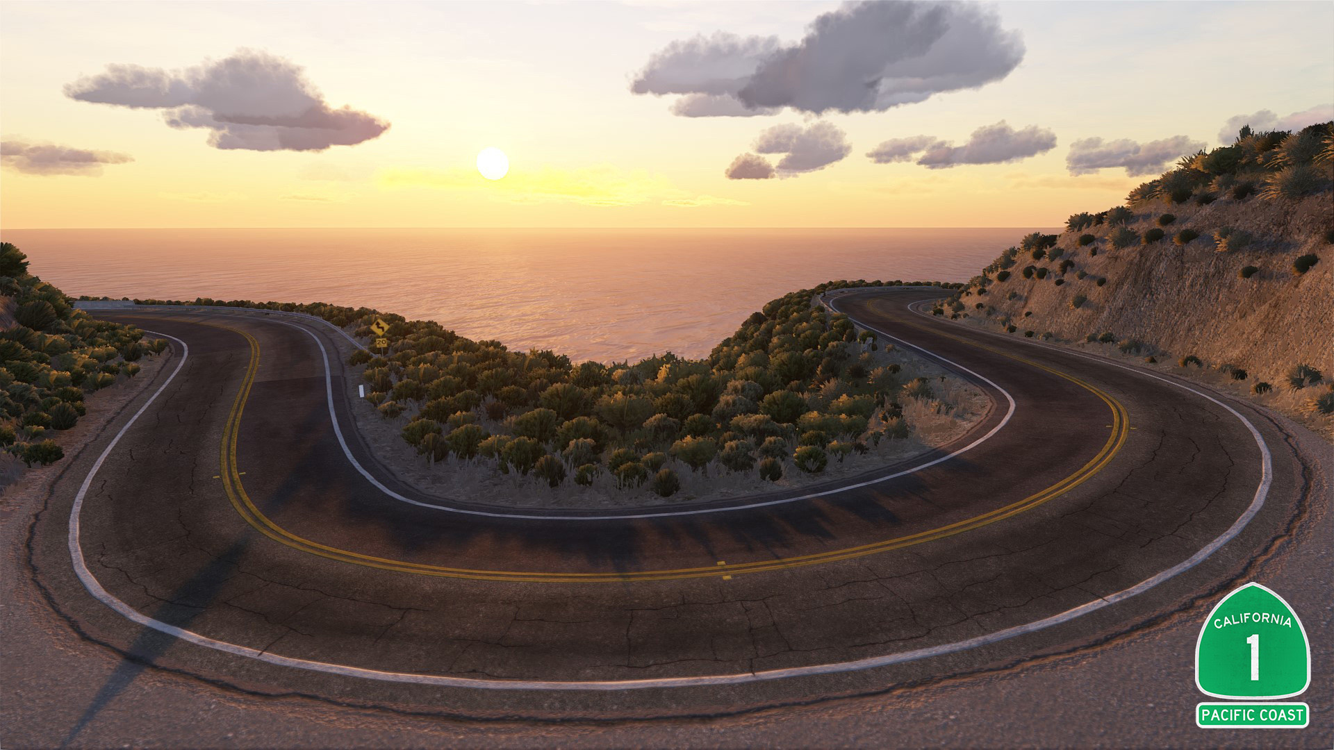 Pacific Coast image 7