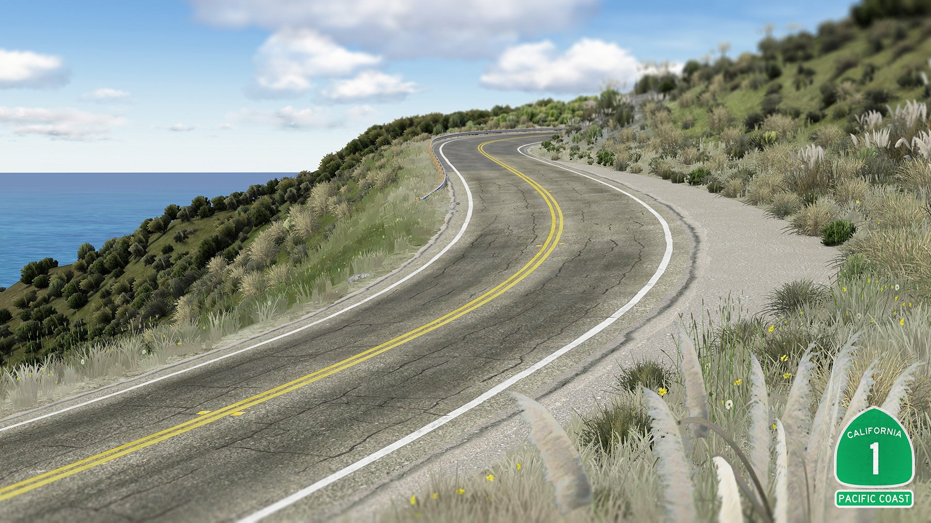 Pacific Coast image 6