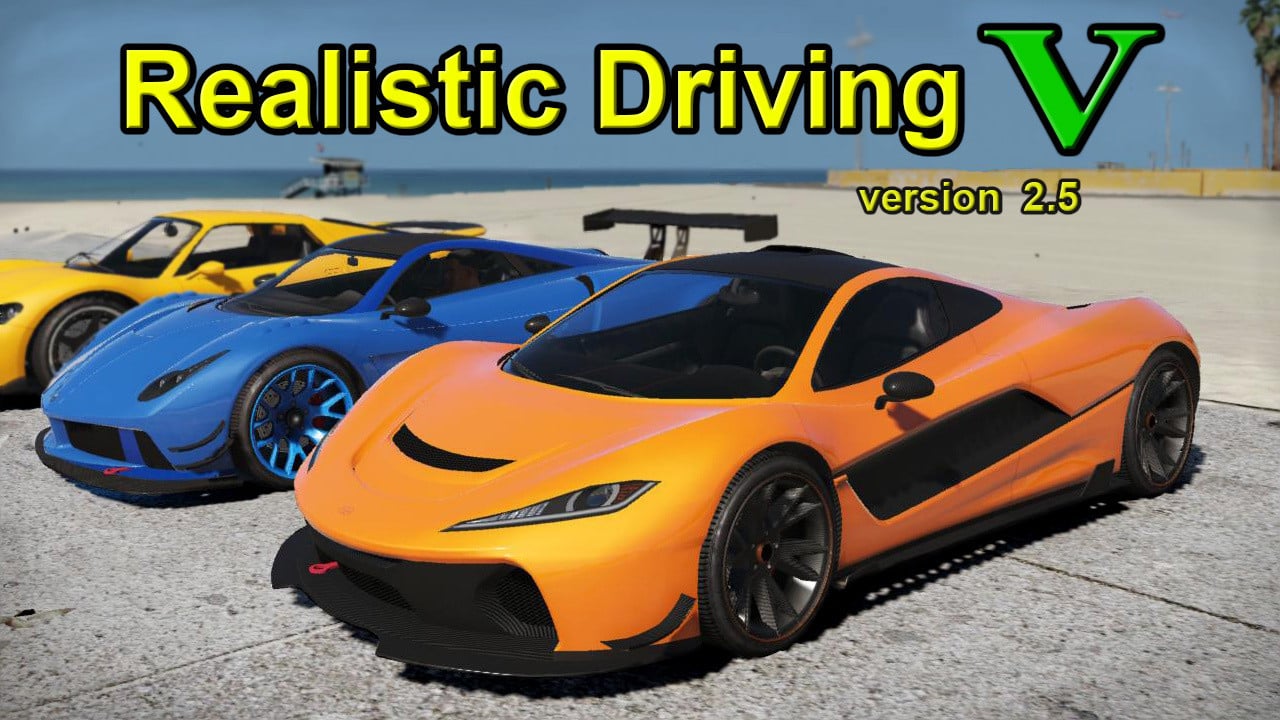 Realistic Driving V