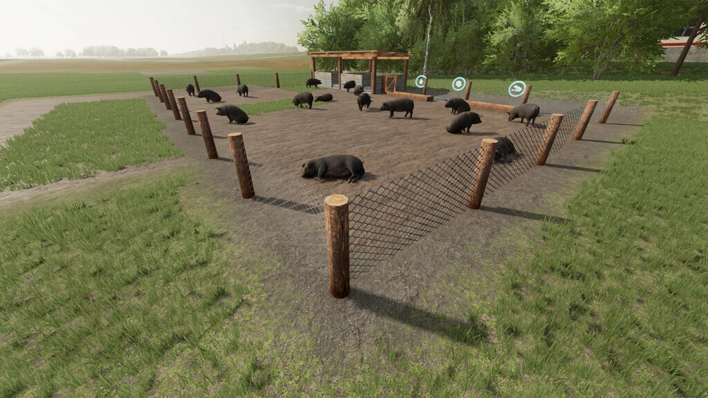 Brazilian Pigsty