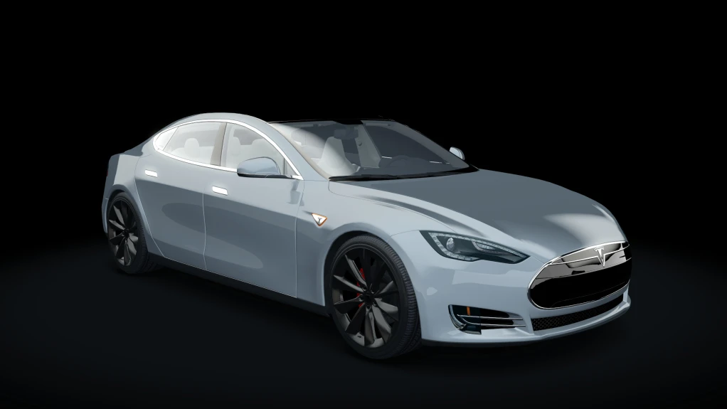 Tesla model store s p100d nm