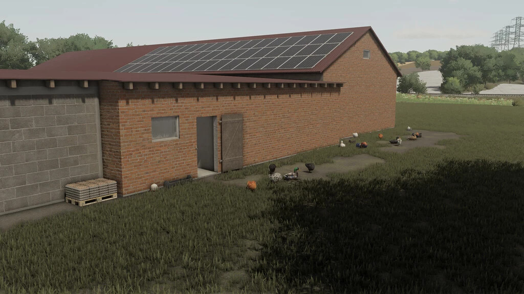 Grain Storage With Hen House