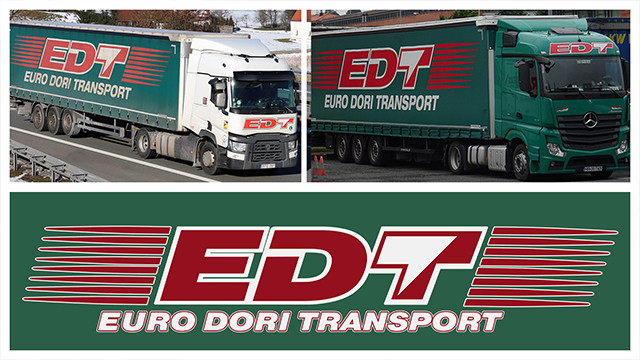 Combo Skin Euro Dori Transport