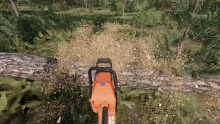 Husqvarna 266 XP v 1.1 thumbnail 8