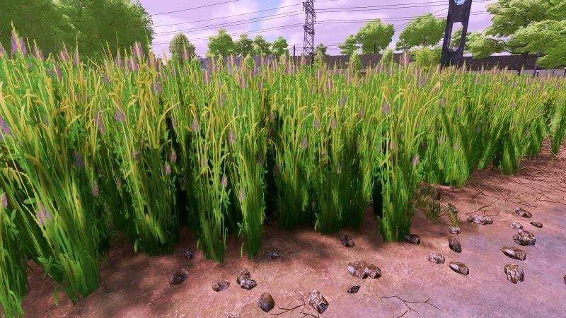 Grass texture with alfalfa v 1.0