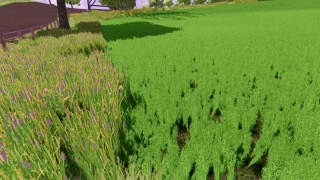 Grass texture with alfalfa v 1.0 thumbnail 3