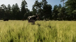 KALINOVKA MAP v 3.0.3 thumbnail 6