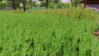 Grass texture with alfalfa v 1.0 thumbnail 5