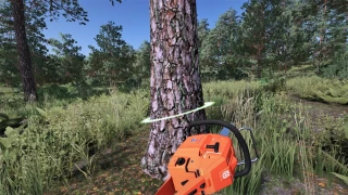 Husqvarna 266 XP v 1.1 thumbnail 7