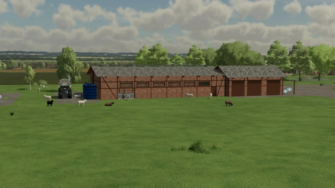 Big Egg and Wool Production
