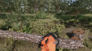 Husqvarna 266 XP v 1.1 thumbnail 5