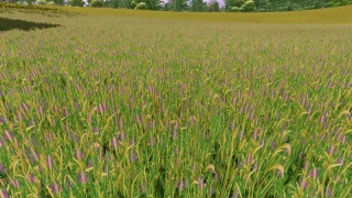 Grass texture with alfalfa v 1.0 thumbnail 6