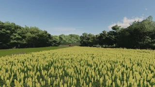 Cembrowina Map v 2.0 thumbnail 4