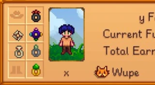 Wear More Rings mod