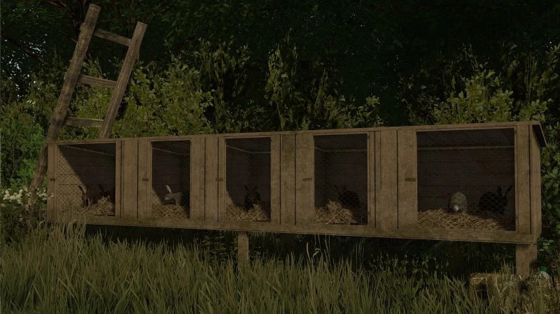Polish Rabbit Cages