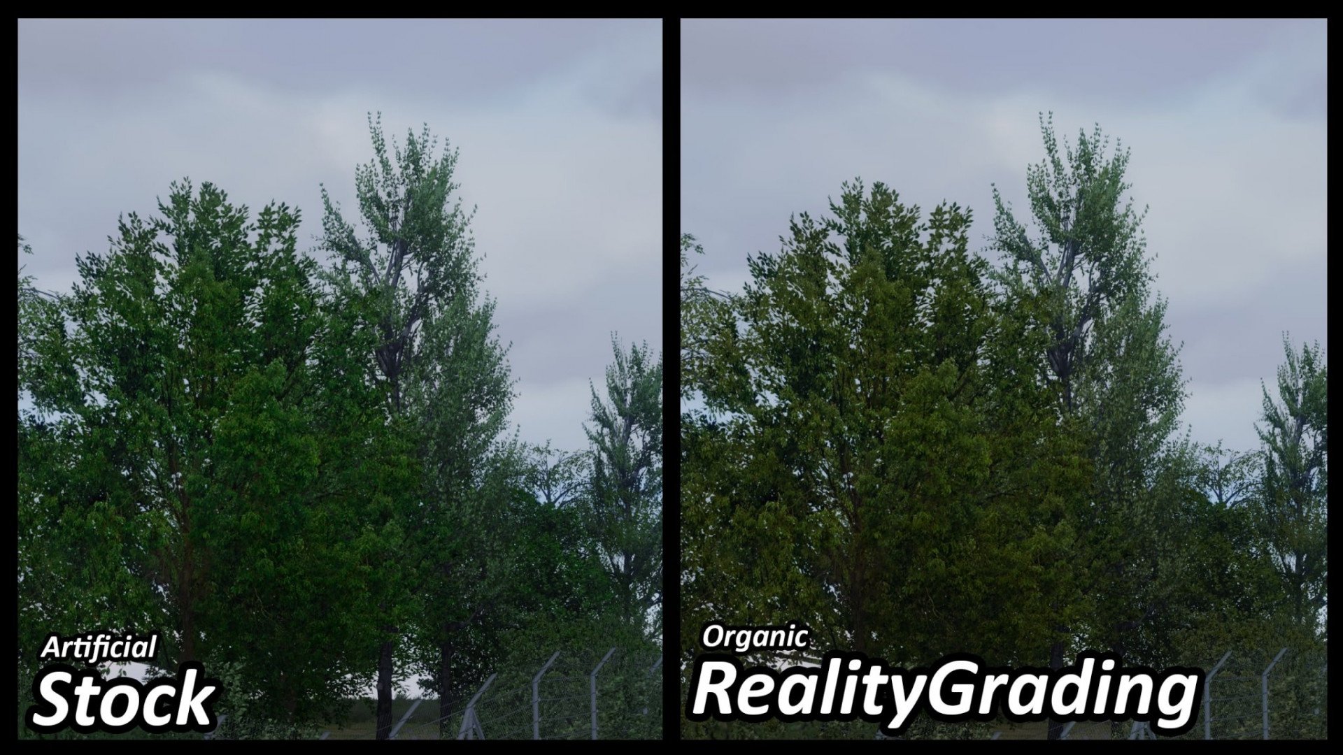 RealityFilter image 10