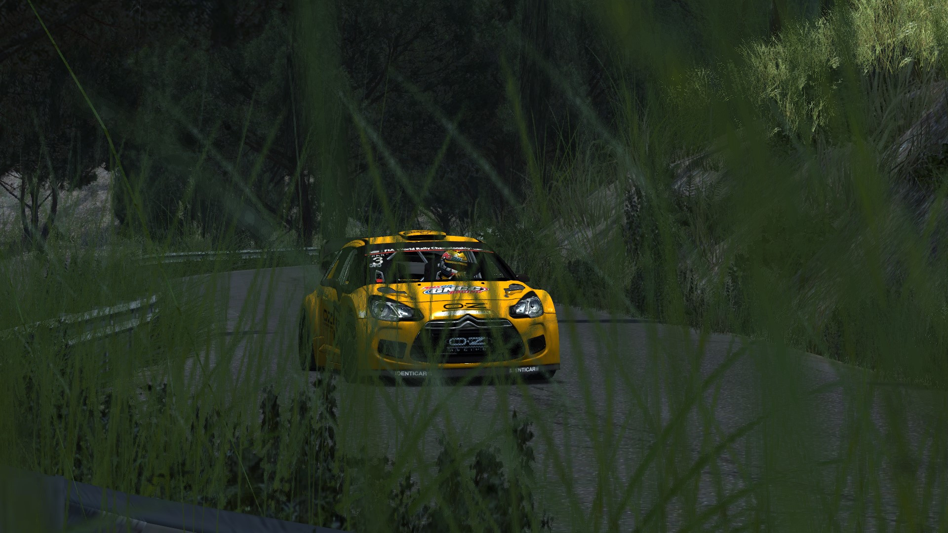HILLCLIMB MOYA image 6