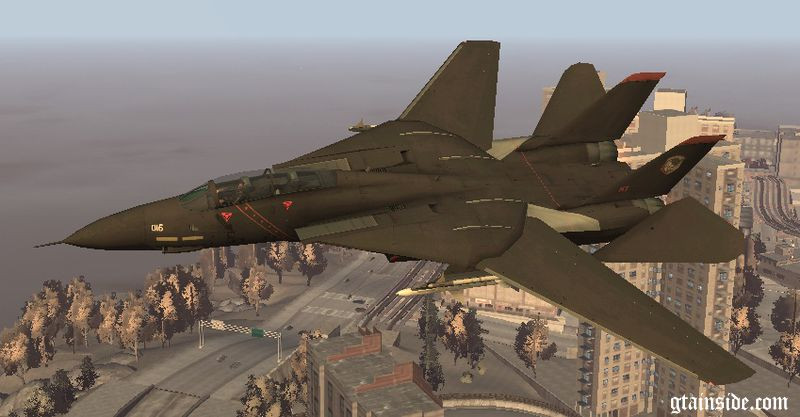 F-14 Tomcat "Ace Combat"