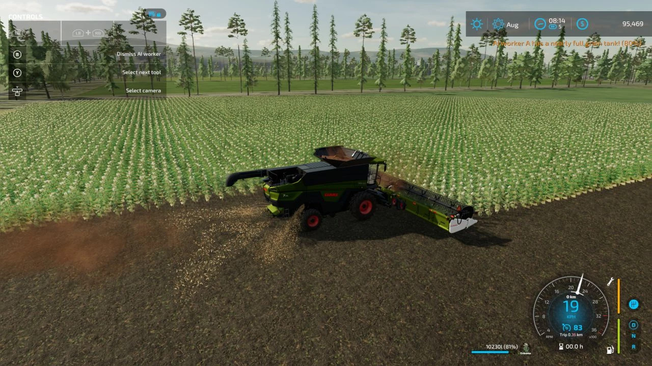 Across The Ditch