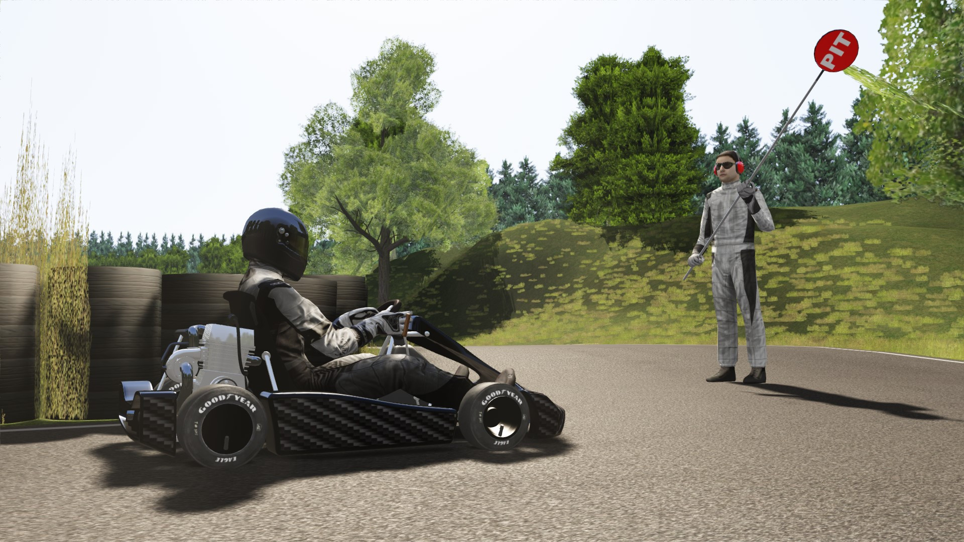 Elvedalen Gokart image 3