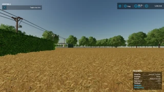 MONEWDEN UPDATE v 2.0 thumbnail 5