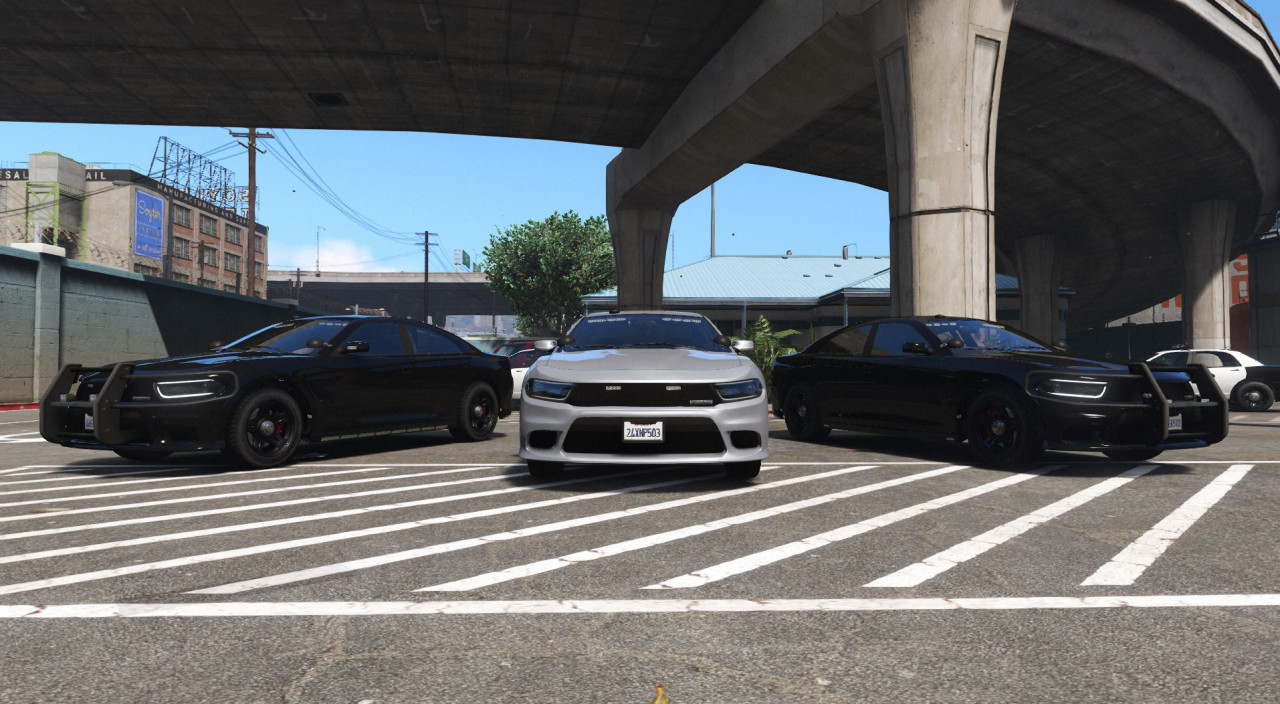 Bravado Buffalo Police Unmarked Pack