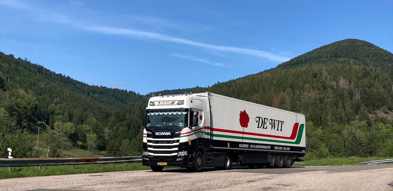 Combo SkinA Wit Transport BV