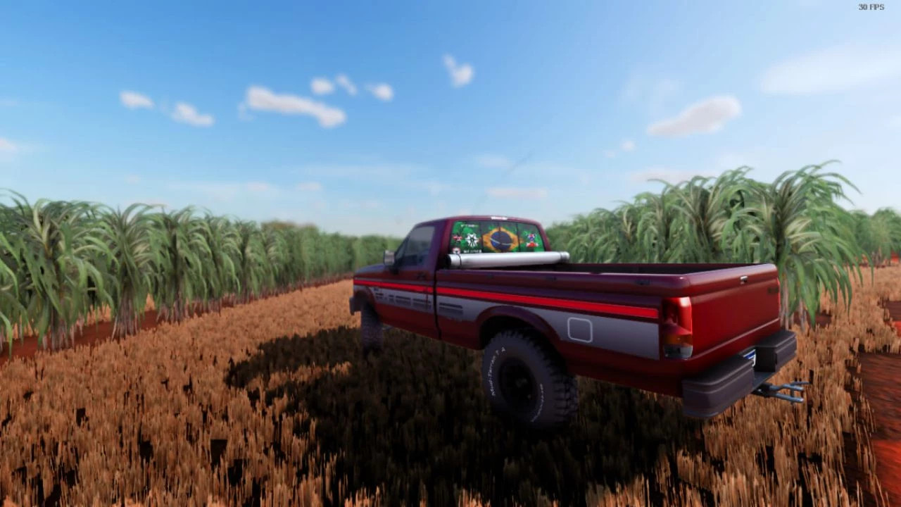 Ford F1000 BETA