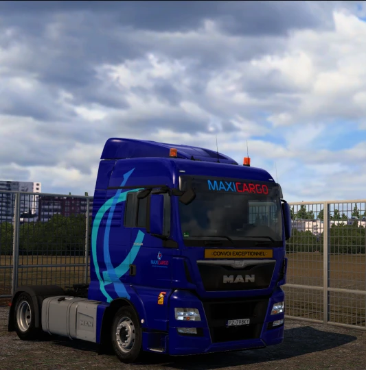 Paintjob Maxi Cargo 1 - ETS 2