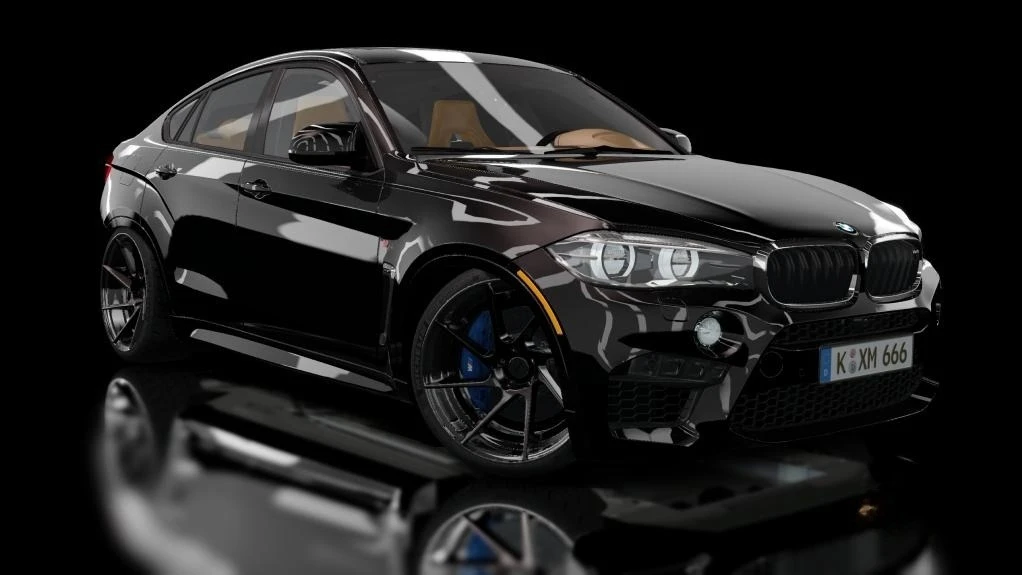 bmw_x6M_1_modland.jpg