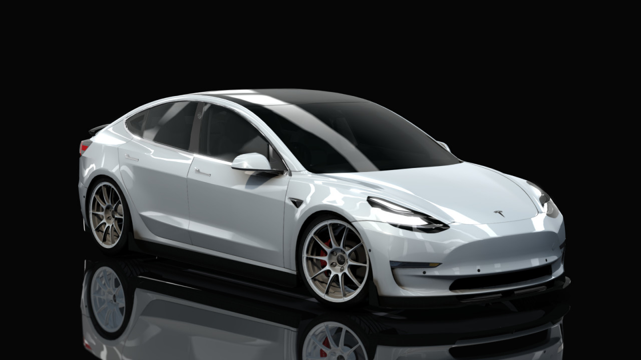 HOTHEAD21 TESLA MODEL 3 CUSTOM