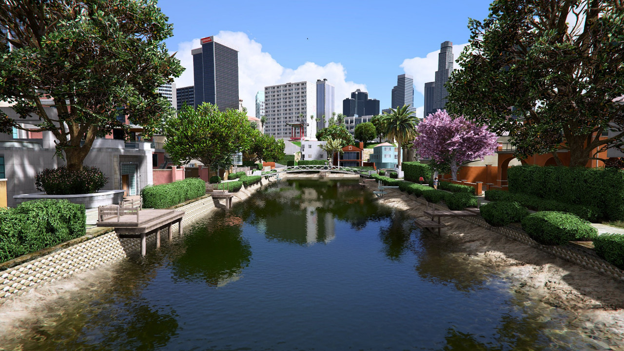 Project Realism V