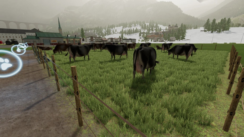 Large Cow Capacity Pen