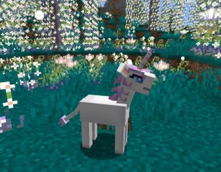 TOP-6 Best Magic and Enchantment Mods for Minecraft - Minecraft