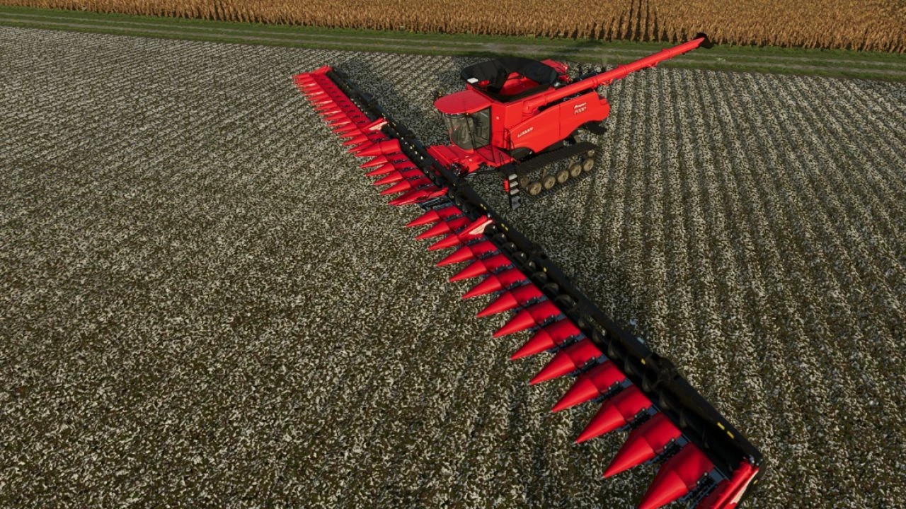CORN 27M Field corn