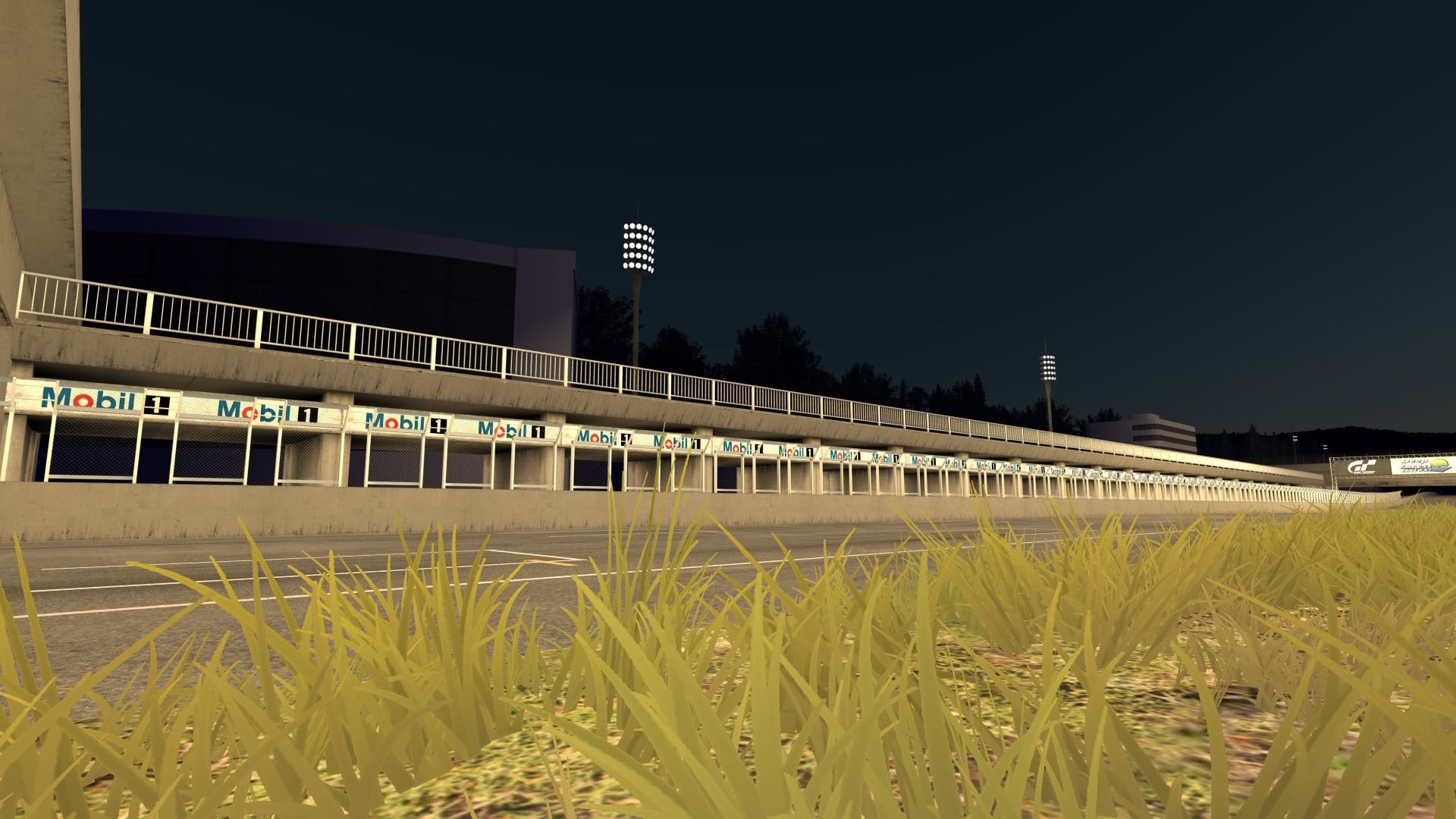 Deep Forest Raceway image 5