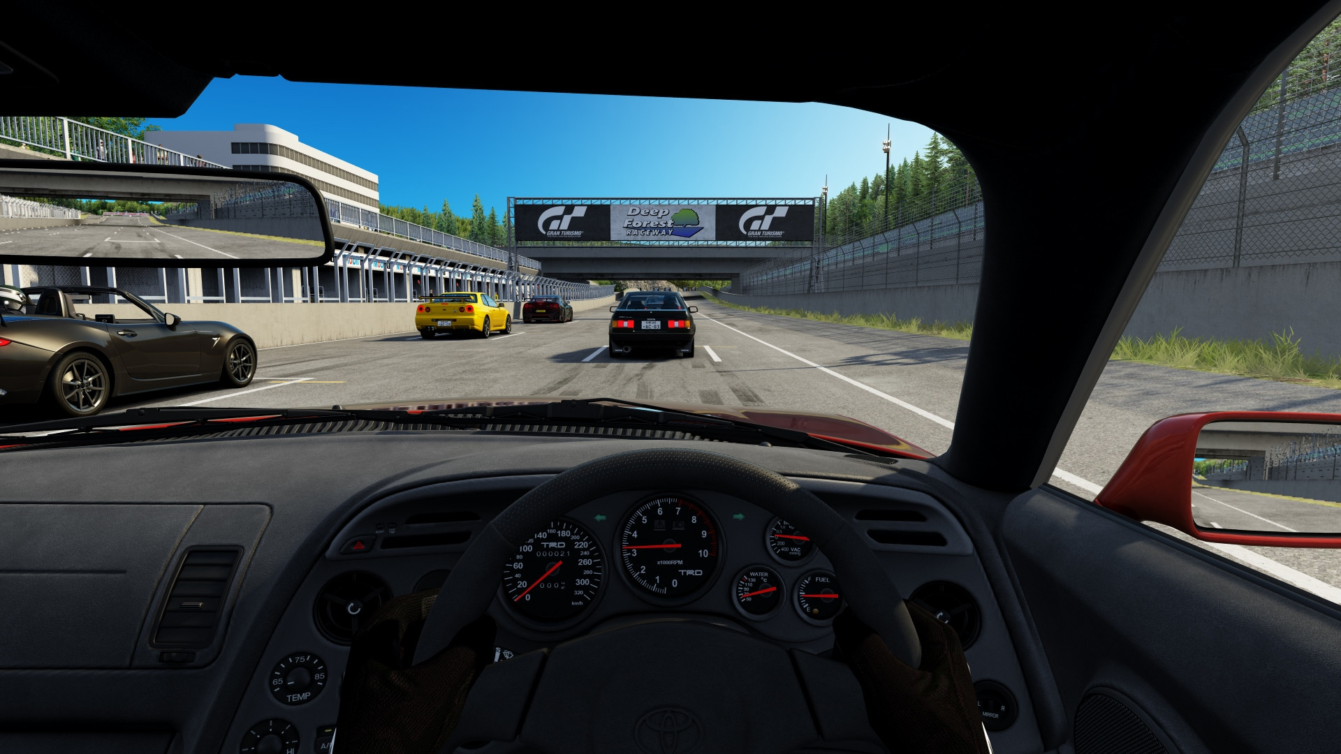 Deep Forest Raceway image 1