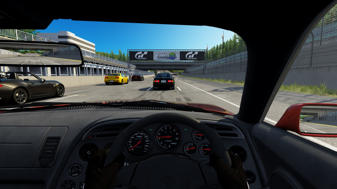 Deep Forest Raceway