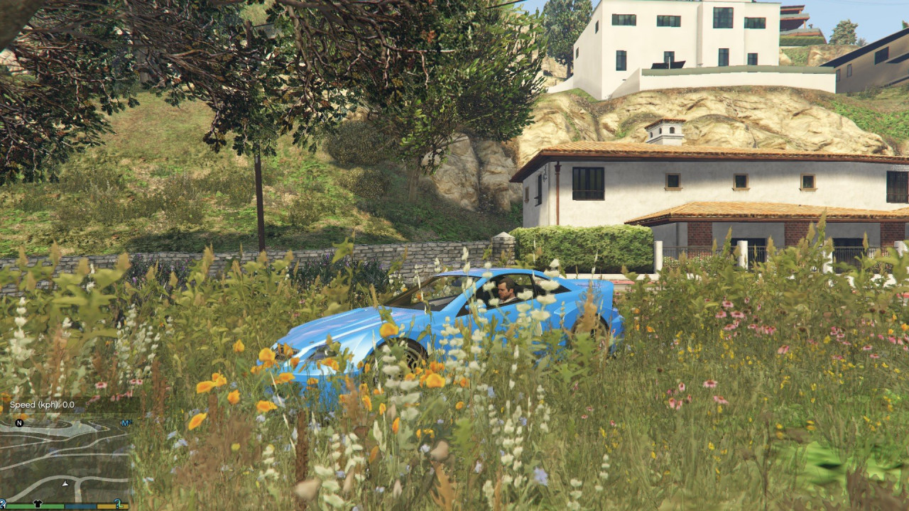 Lower resolution vegetation for improved performance