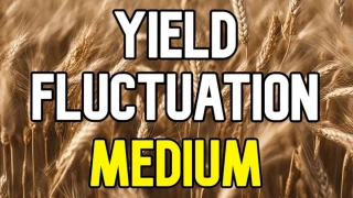 Yield Fluctuation v 4.0