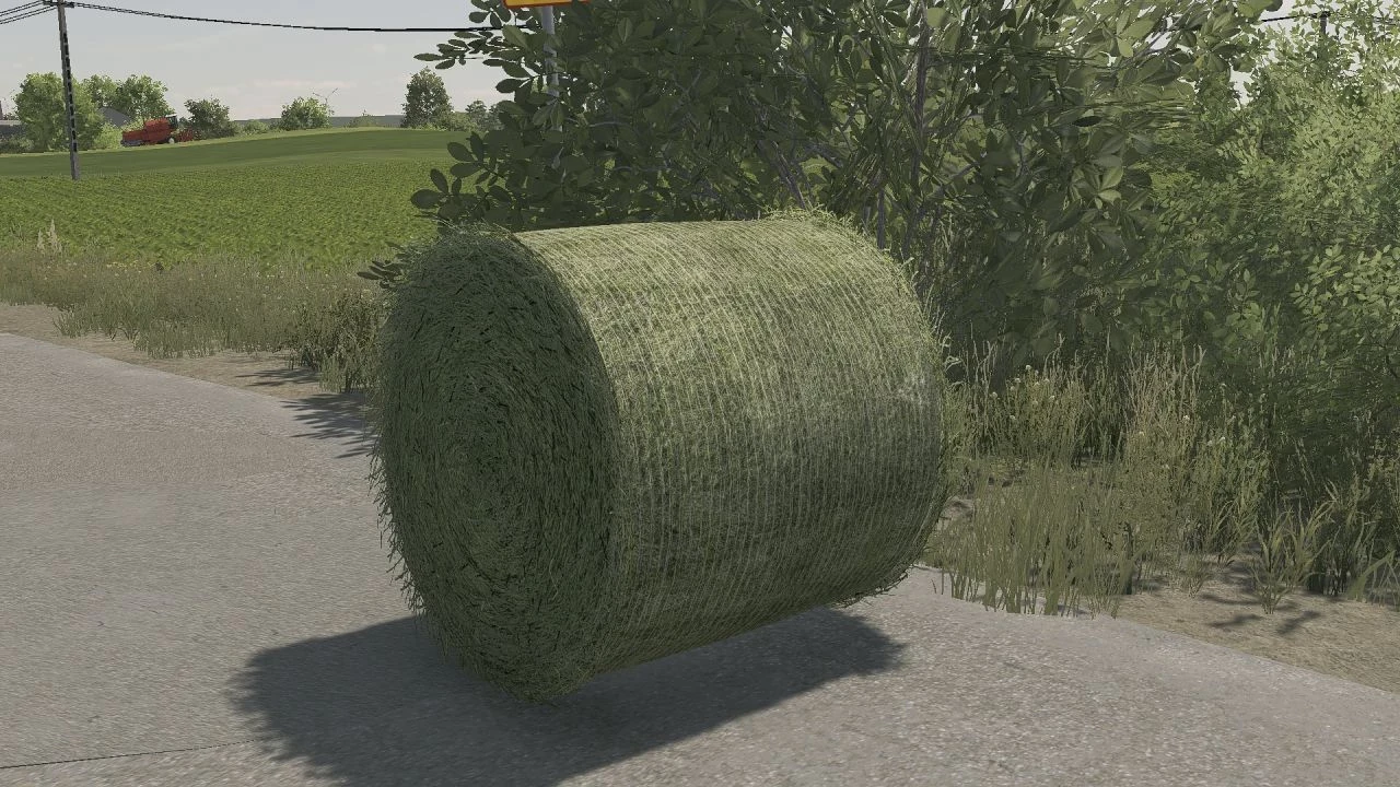Bale texture 125cm v 1.0