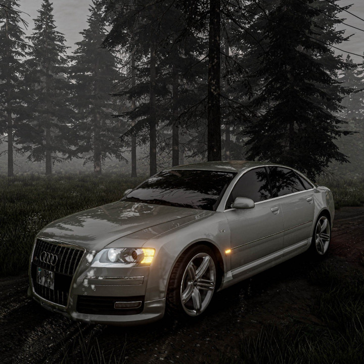 Audi S8 D3