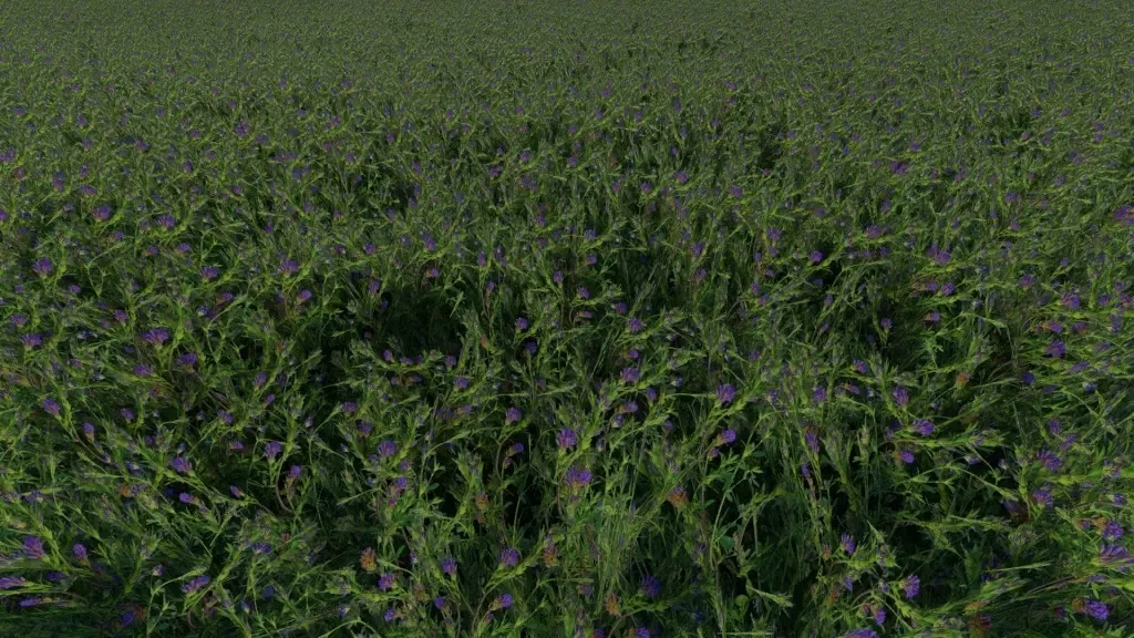 Clover and Alfalfa Texture v 1.0