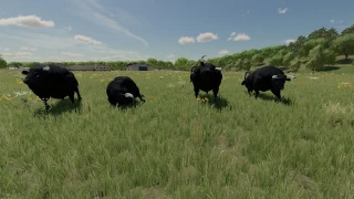 Placeable Bulls v 1.0 thumbnail 4