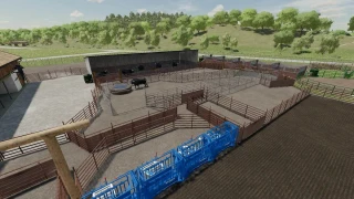 Placeable Bulls v 1.0 thumbnail 7