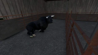 Placeable Bulls v 1.0 thumbnail 6