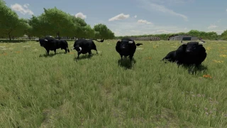 Placeable Bulls v 1.0 thumbnail 5