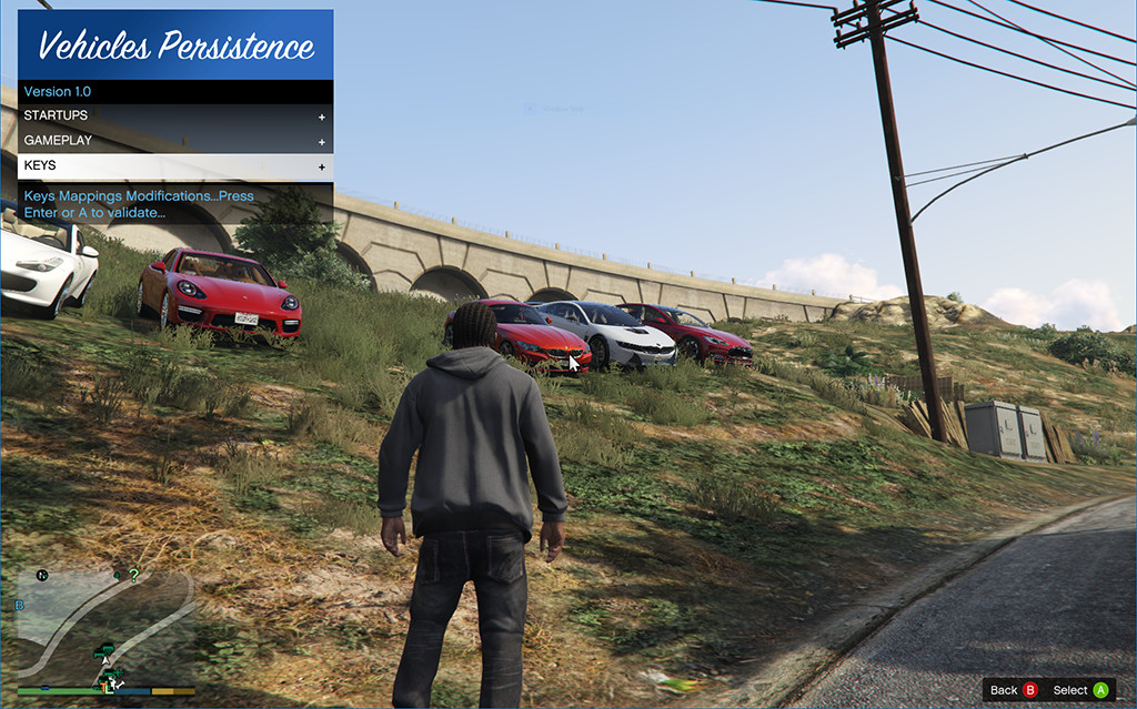 Vehicles Persistence