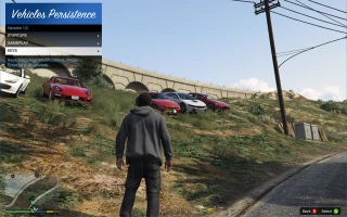 Vehicles Persistence